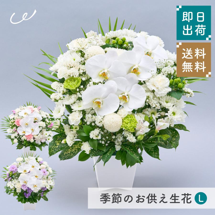 お供え花 フラワーアレンジ 初盆 お供え 供花 仏花 生花 メモリアル