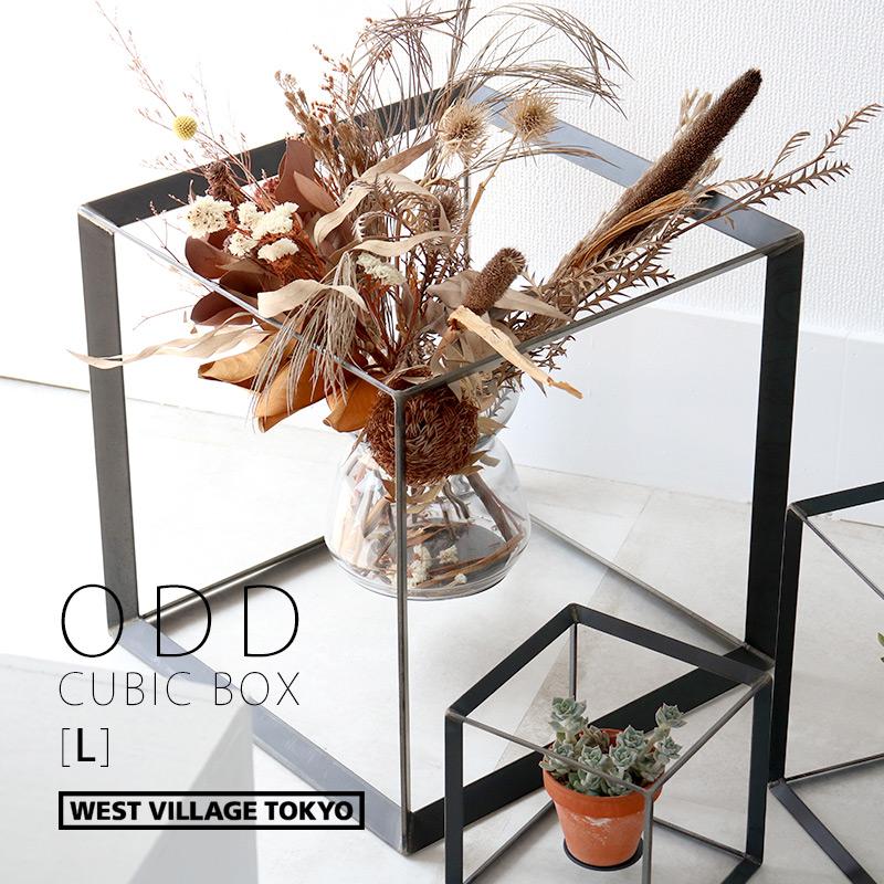 ディスプレイボックス プランタースタンド アイアン おしゃれ オッド