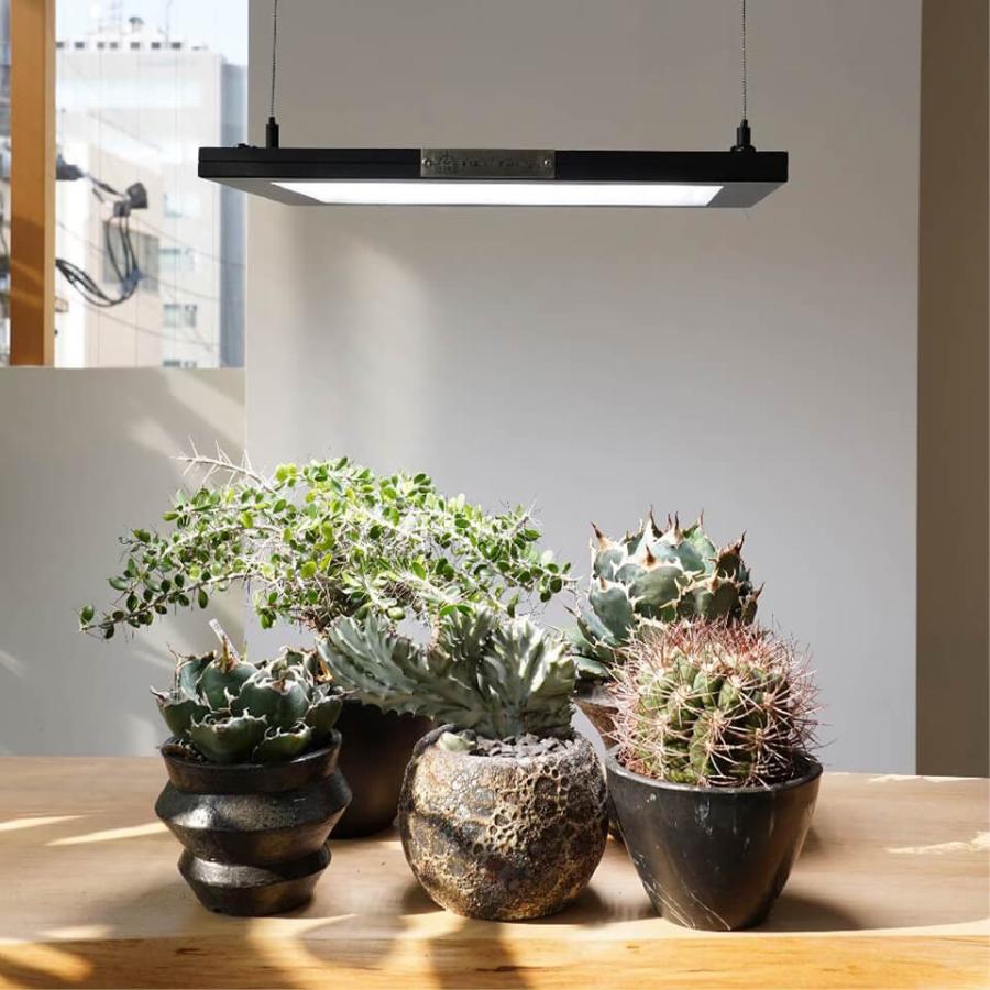 パネルライト【ROKI‐350 100W】ロキ BARREL リニューアル版 LED 植物