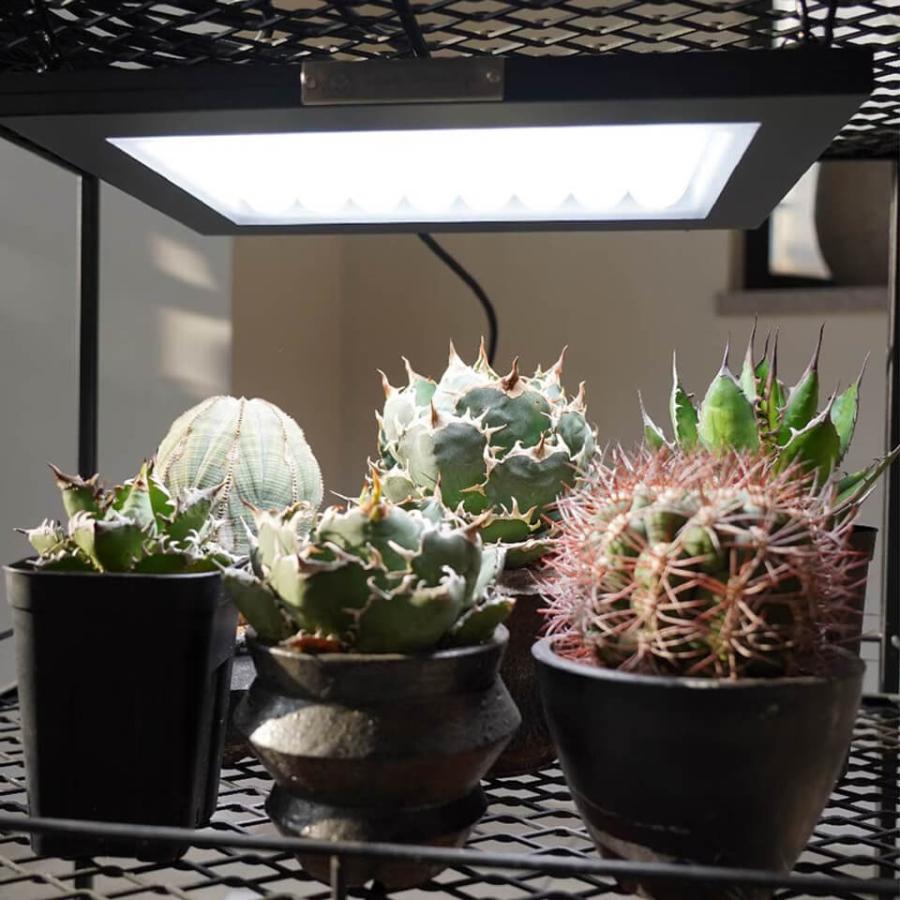 パネルライト【ROKI‐350 100W】ロキ BARREL リニューアル版 LED 植物