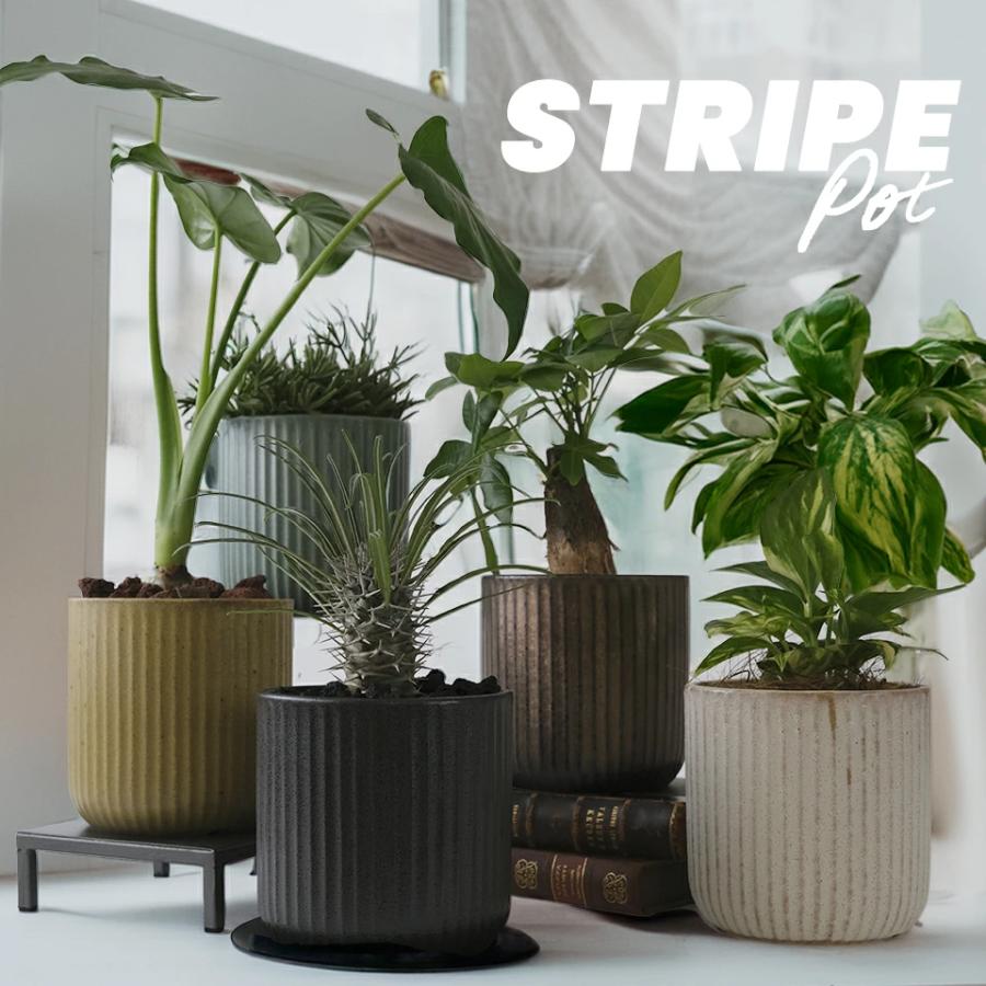 美濃焼 STRIPE-POT 4号 12cm 陶器 植木鉢 受け皿付 シンプル 縦縞 陶器