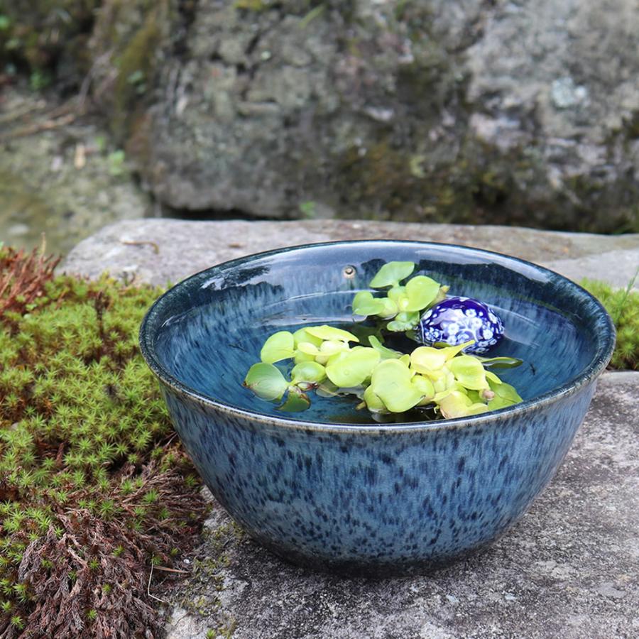 信楽焼 睡蓮鉢 メダカ鉢 金魚鉢 スイレン メダカ 鉢 大型 ビオトープ