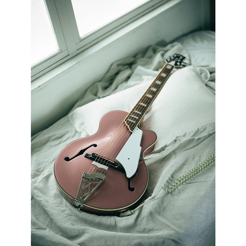 VOX ボックス VGA-5TPS PR パールローズ フルアコデザインのエレアコ