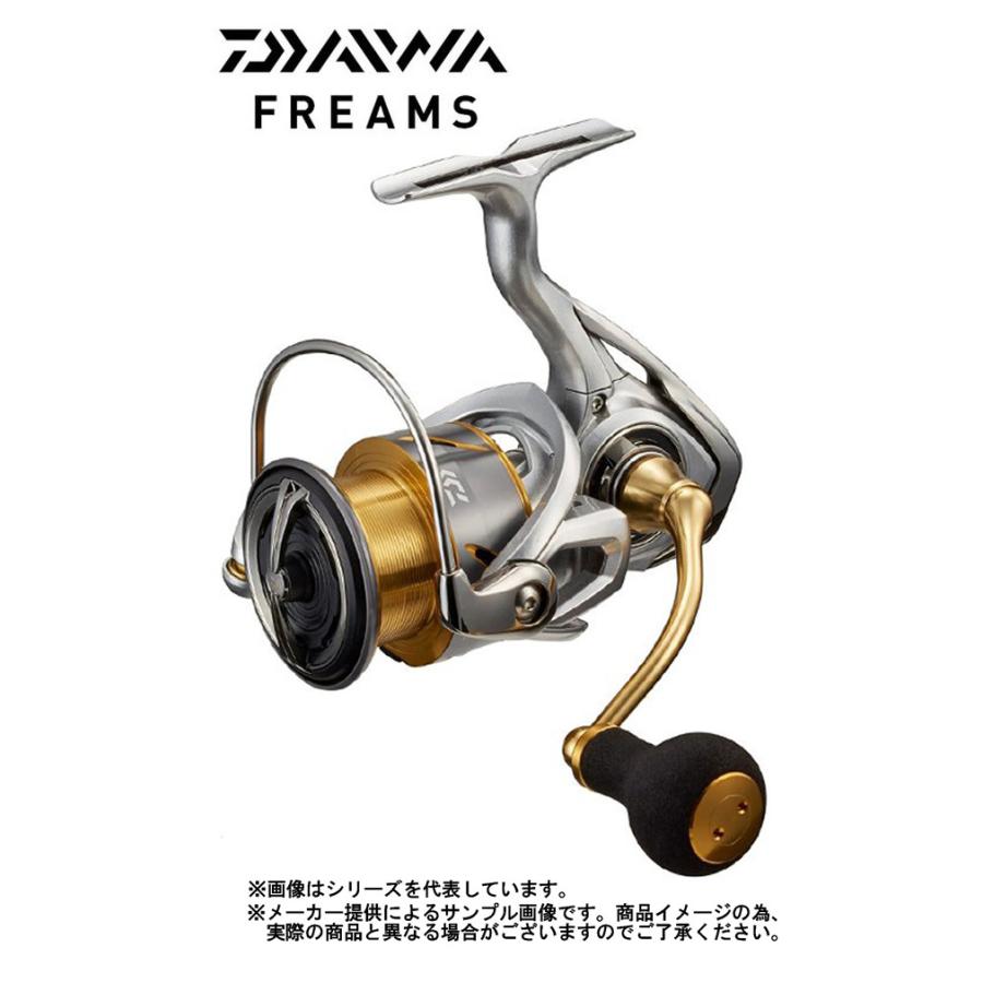 DAIWA（ダイワ） '21 FREAMS(フリームス) LT 4000-CXH (スピニング