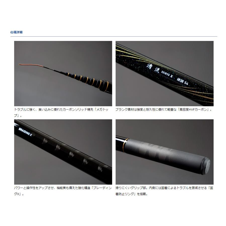 DAIWA（ダイワ） SEIRYU X(清流/セイリュウ X) 硬調54 (渓流竿・振出
