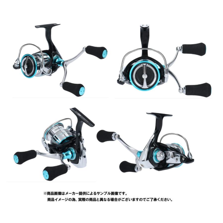 DAIWA（ダイワ） '19 EMERALDAS LT(エメラルダス LT) 2500S-H-DH