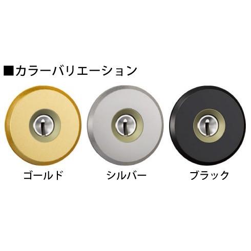 三協アルミ 玄関ドア 鍵交換用シリンダー2個セット GOAL STK D9キー ラ