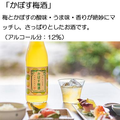 ミニボトル 梅酒3本セット ギフト 90ml × 3本 熟成梅酒ゆめひびき 南