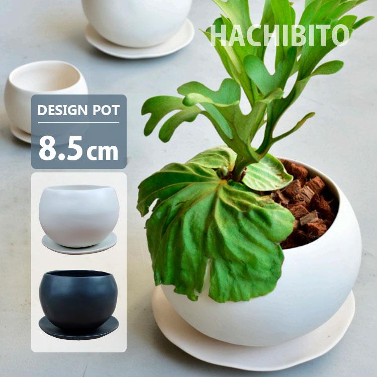 植木鉢 おしゃれ 陶器鉢 卵型ポット MM069-085 3号(8.5cm) 鉢底穴有り