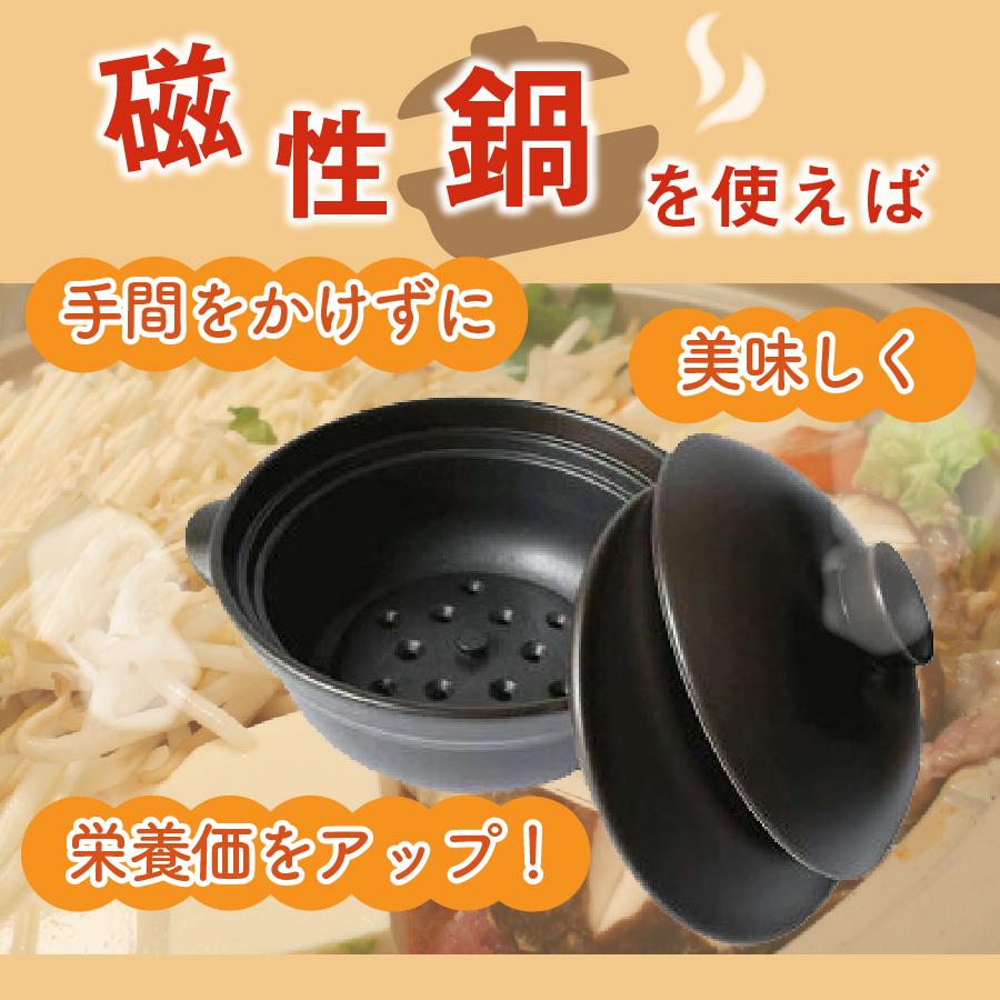 磁性鍋 鍋 電子レンジ 電子レンジ専用調理器 両手鍋 Mサイズ 鍋セット