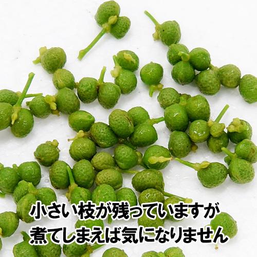養父市特産 冷凍実山椒 500g 朝倉山椒 送料無料 あく抜き済 山椒 山椒