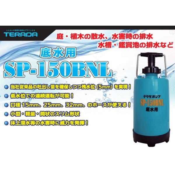 テラダ 低水位 水中ポンプ 100V 家庭用 排水ポンプ 水吸い上げ SP
