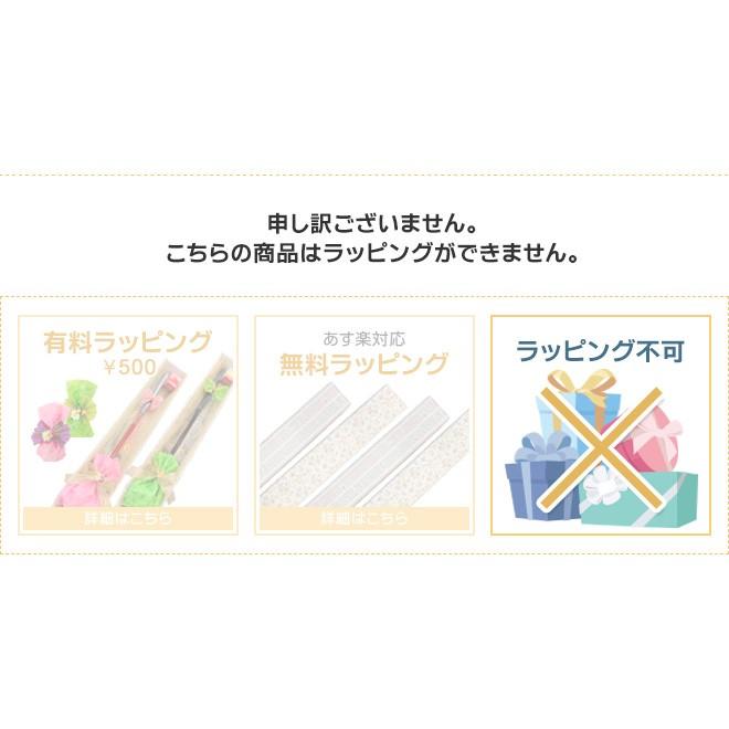 SWIX（スウィックス） スキーバイス ラジアルスキーバイス T0149-50