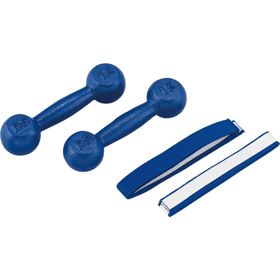 DANNO（ダンノ） 鉄アレー 1kg アレー アレイ トレーニング 筋力