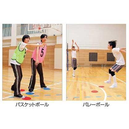 molten（モルテン） マーカーパッド 屋内（体育館）用 6枚入り プレー