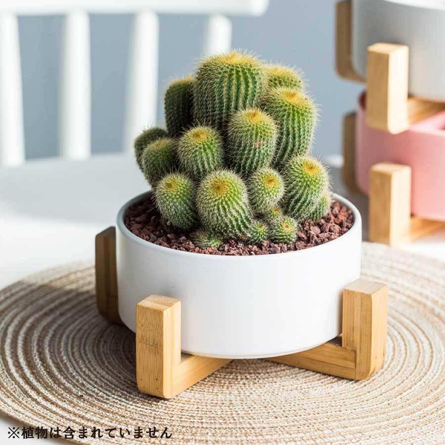 寄せ植え 植木鉢 プランタ 鉢 多肉植物鉢 サボテン鉢 竹トレー付き