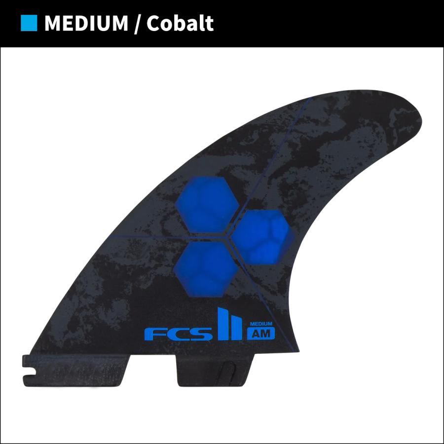 FCS 25 FCS2 フィン AM PC チャンネルアイランド アルメリック トライ