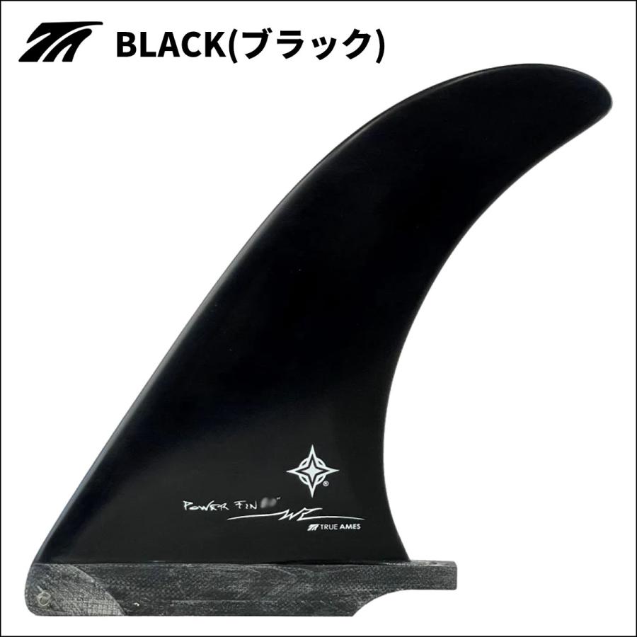 TRUE AMES トゥルーアムス フィン WayneRichPower 9.5