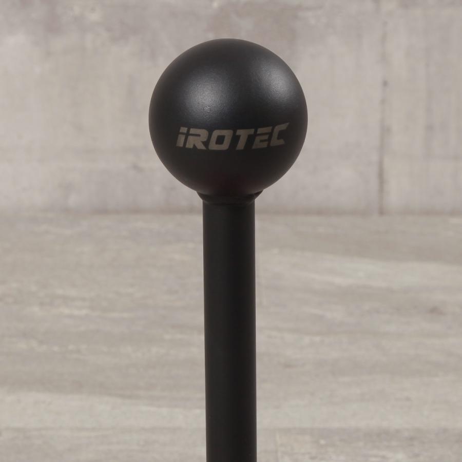IROTEC（アイロテック） 握力 前腕強化 プレートロードピンレギュラー