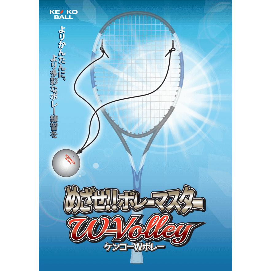 NAGASE KENKO（ナガセケンコー） ソフトテニス グッズ ボール ケンコー