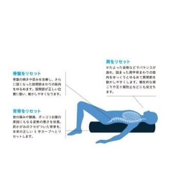 ストレッチポールMX(アイボリー)株式会社LPN : ストレッチポールLPN