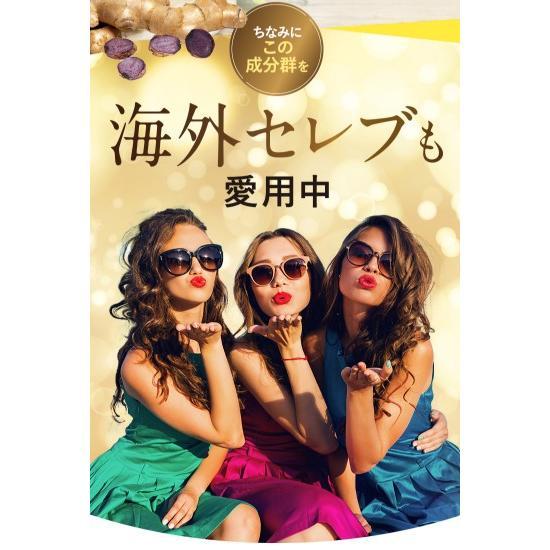 ドクタースラリ Dr.Surari ダイエット サプリメント 30粒 約1ヶ月分