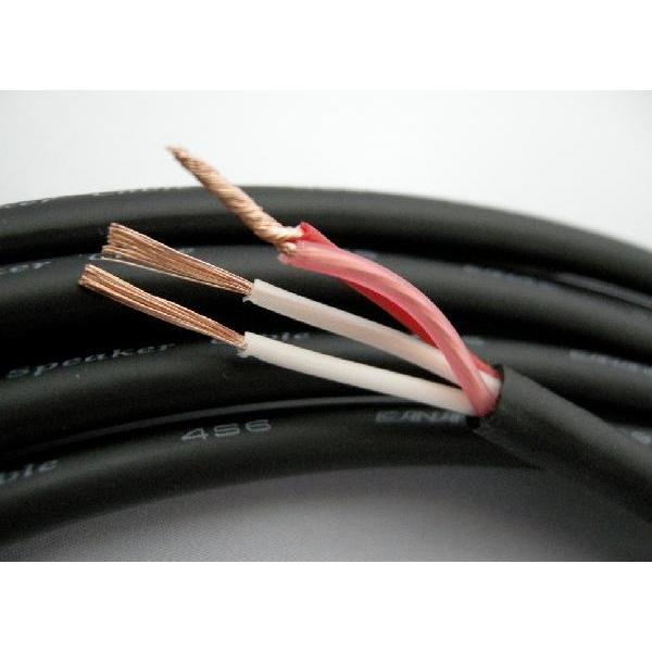 CANARE（カナレ） CANARE 4S6 スピーカーケーブル黒 1m切売り : SWITCH