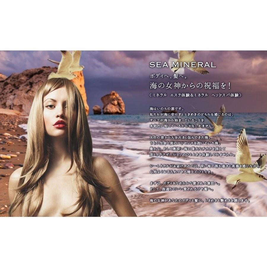 Kracie（クラシエ） シーミネラル ヘアパックシャンプー 業務用詰替え