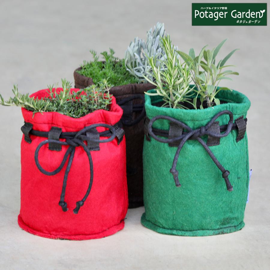 ハーブ 栽培キット 寄せ鉢（タカショー フェルポット S ガーデニング