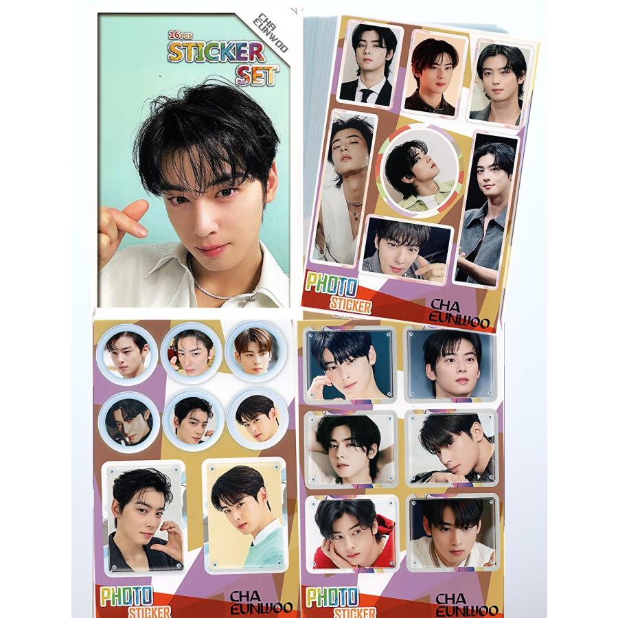 チャ・ウヌ ASTRO アストロ チャウヌ グッズ ステッカーセット 87枚入