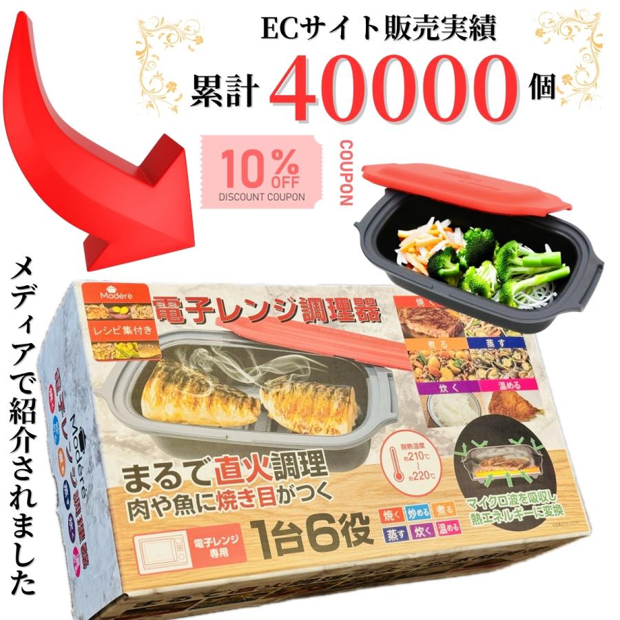 ヒロ・コーポレーション 電子レンジ調理器 魚 焼き魚 レンジで焼き魚