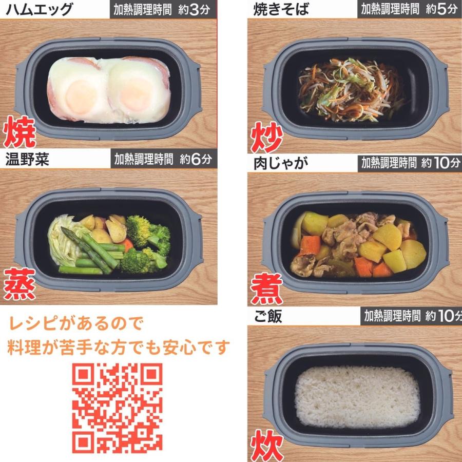 ヒロ・コーポレーション 電子レンジ調理器 魚 焼き魚 レンジで焼き魚