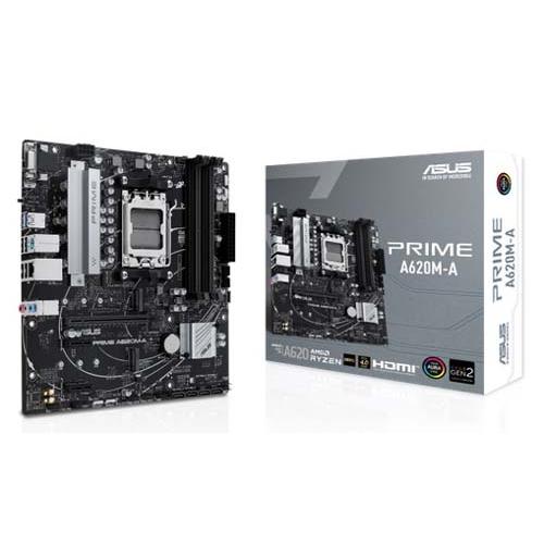 AMD AMD最新 Ryzen5 8500G 搭載/DDR5メモリ 16GB/M.2 SSD 500GB