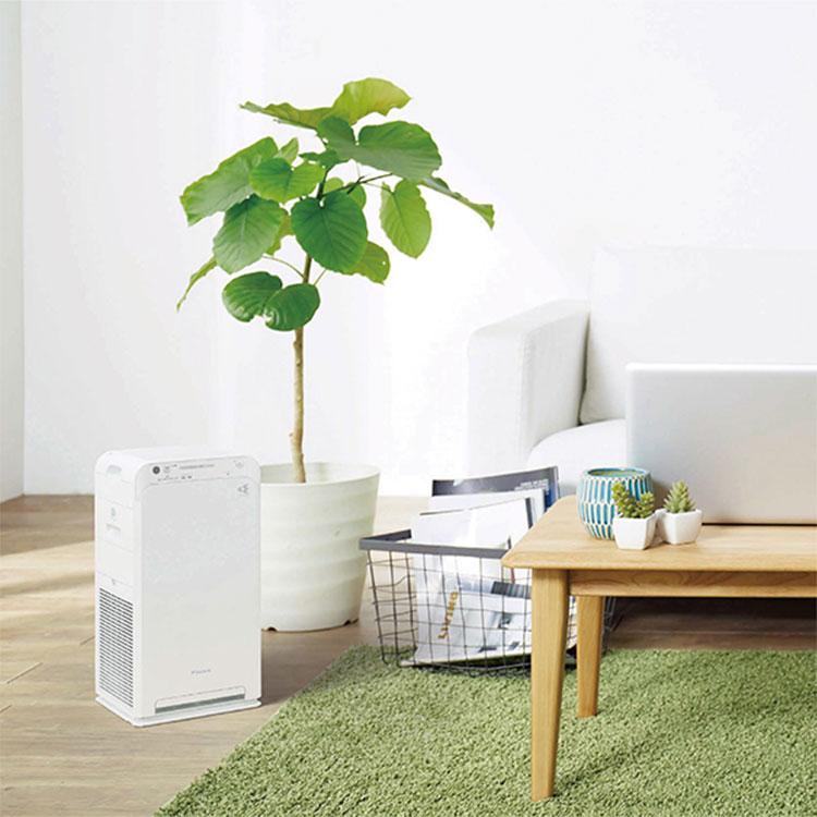 ダイキン（DAIKIN） 空気清浄機 ウイルス除去 MC554A-W対策 空気清浄