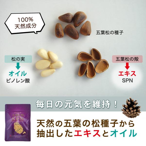 五葉の松種子SPNエキス『ブラック』90粒 : ピーイージェイ通販