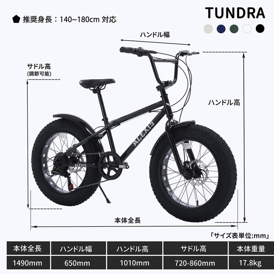 ACEXIS ファットバイク Fat City Cruiser BMX 自転車 シティ ビーチ