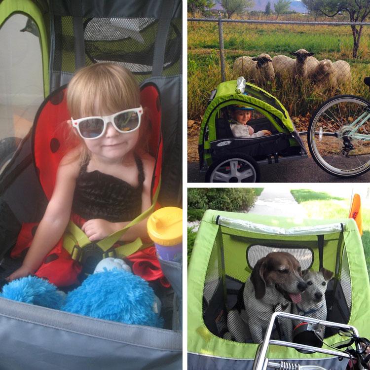 InStep インステップ シンク バイクトレーラー シングル チャイルド