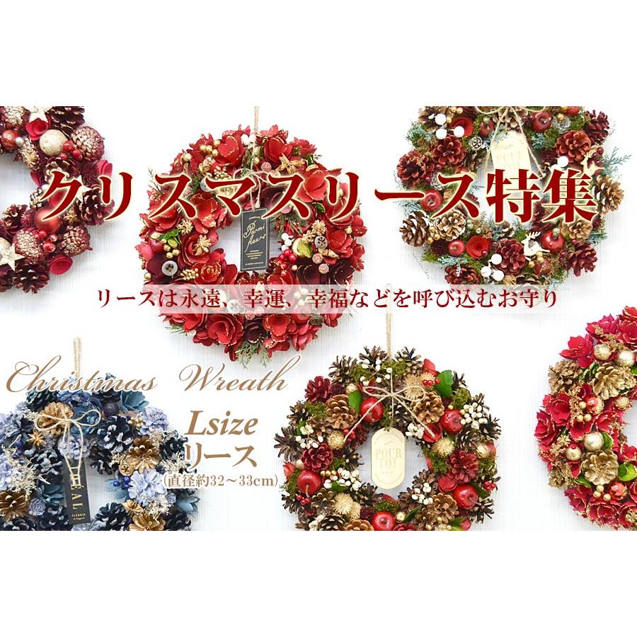 2025年 クリスマスリース Lサイズ 直径約33cm 選べる9種類 ドライ