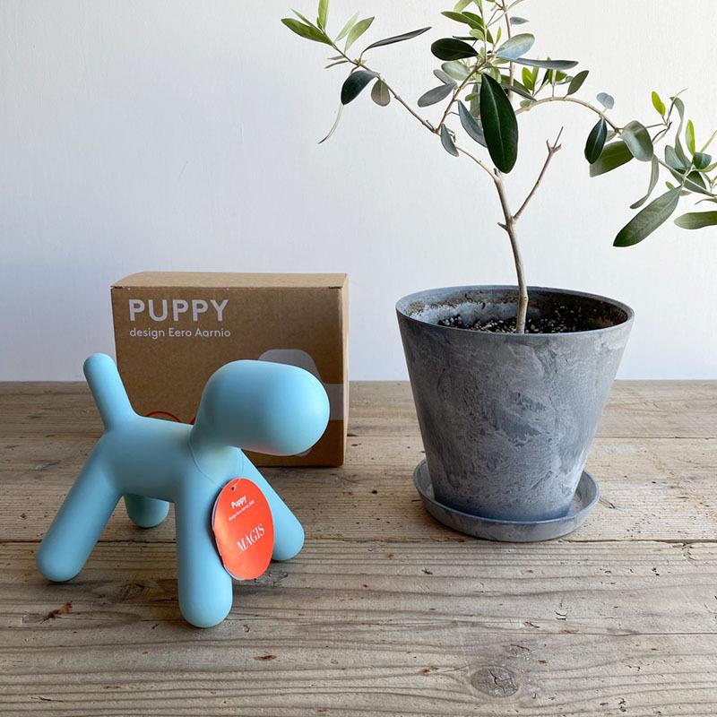 MAGIS（マジス） パピー XS MAGIS PUPPY XS ブラック レッド コーラル