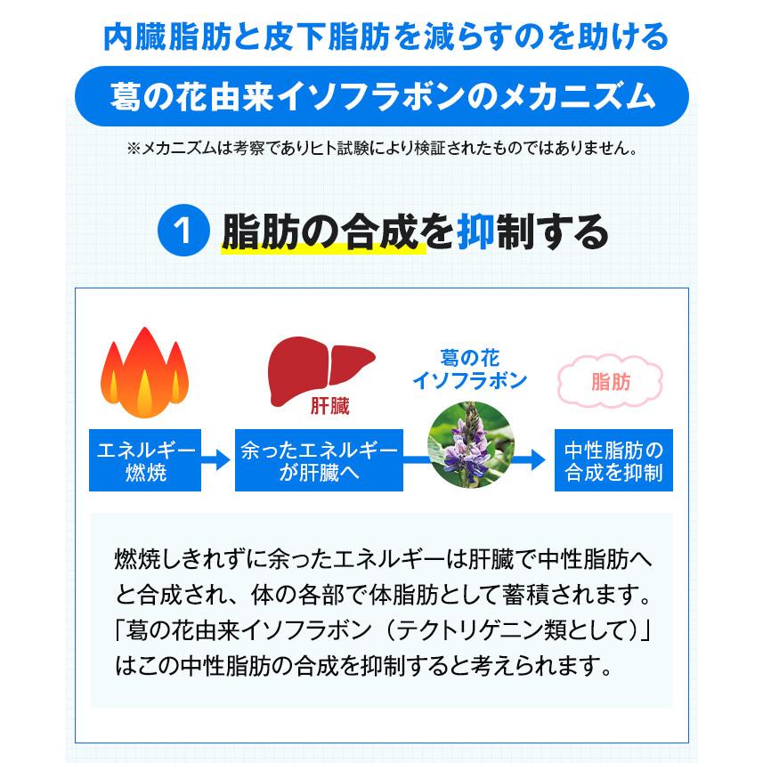 PILLBOX JAPAN（ピルボックスジャパン） WEB直販限定販売 onaka(おなか