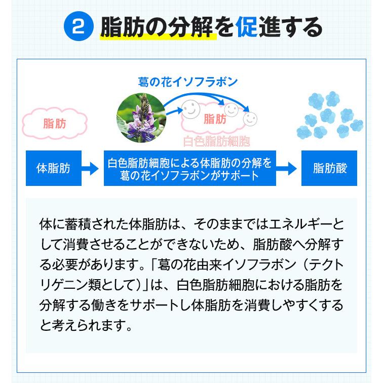 PILLBOX JAPAN（ピルボックスジャパン） WEB直販限定販売 onaka(おなか