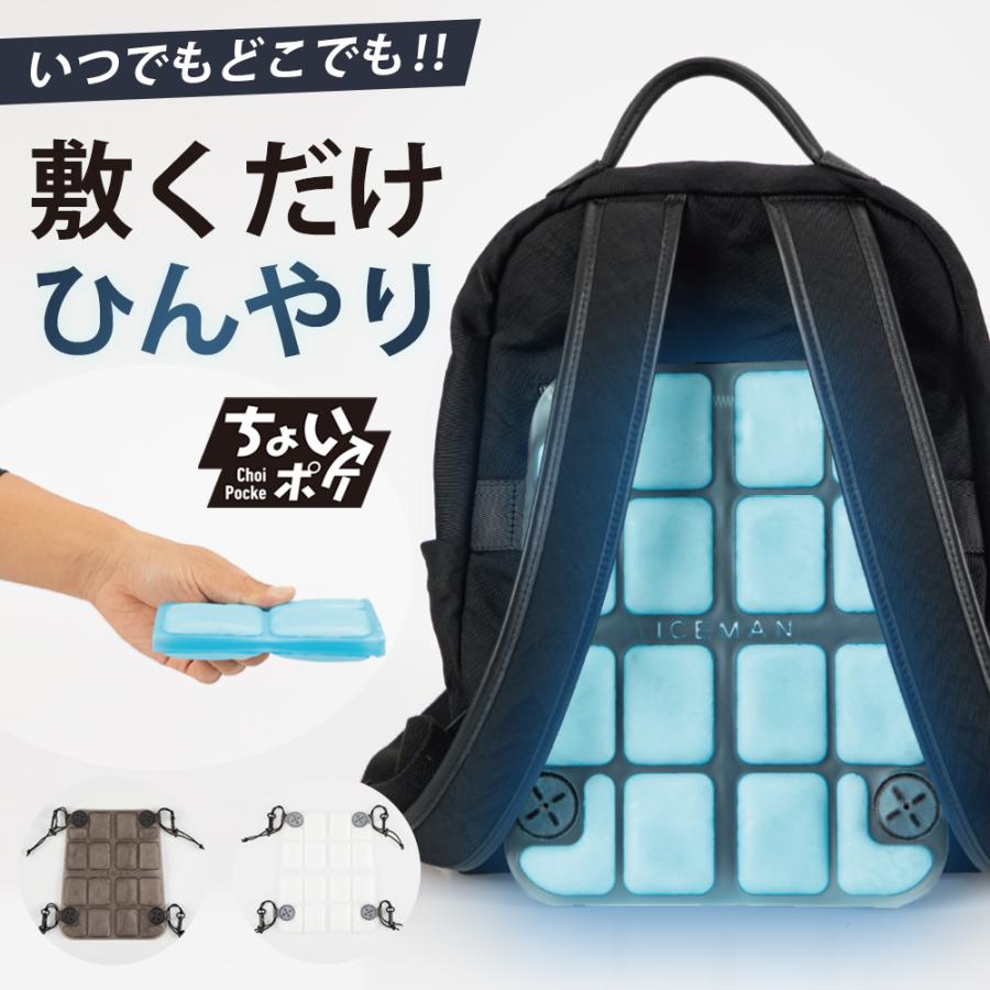 YAMASHIN（ヤマシン） 【5のつく日】 特価 山真製鋸 アイスマン ちょい