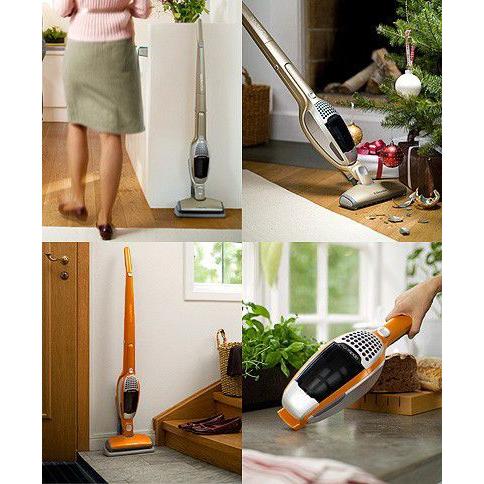 送料無料】【21％OFF】Electrolux New Ergorapido Black Higross