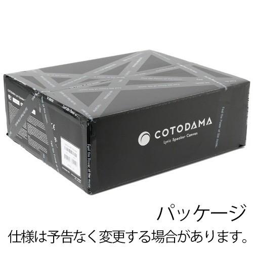COTODAMA Lyric Speaker Canvas LS2 コトダマ リリックスピーカー
