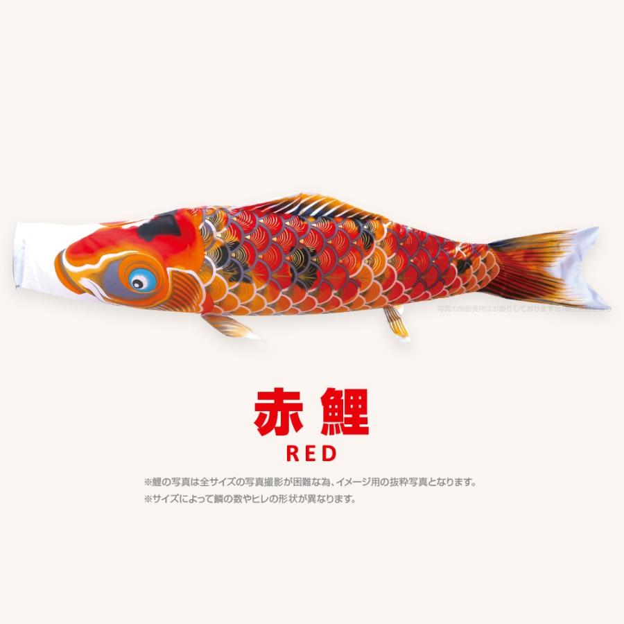 こいのぼり 単品 京錦 3m 単品鯉 黒 赤 青 緑 紫 : 節句&ギフト専門店