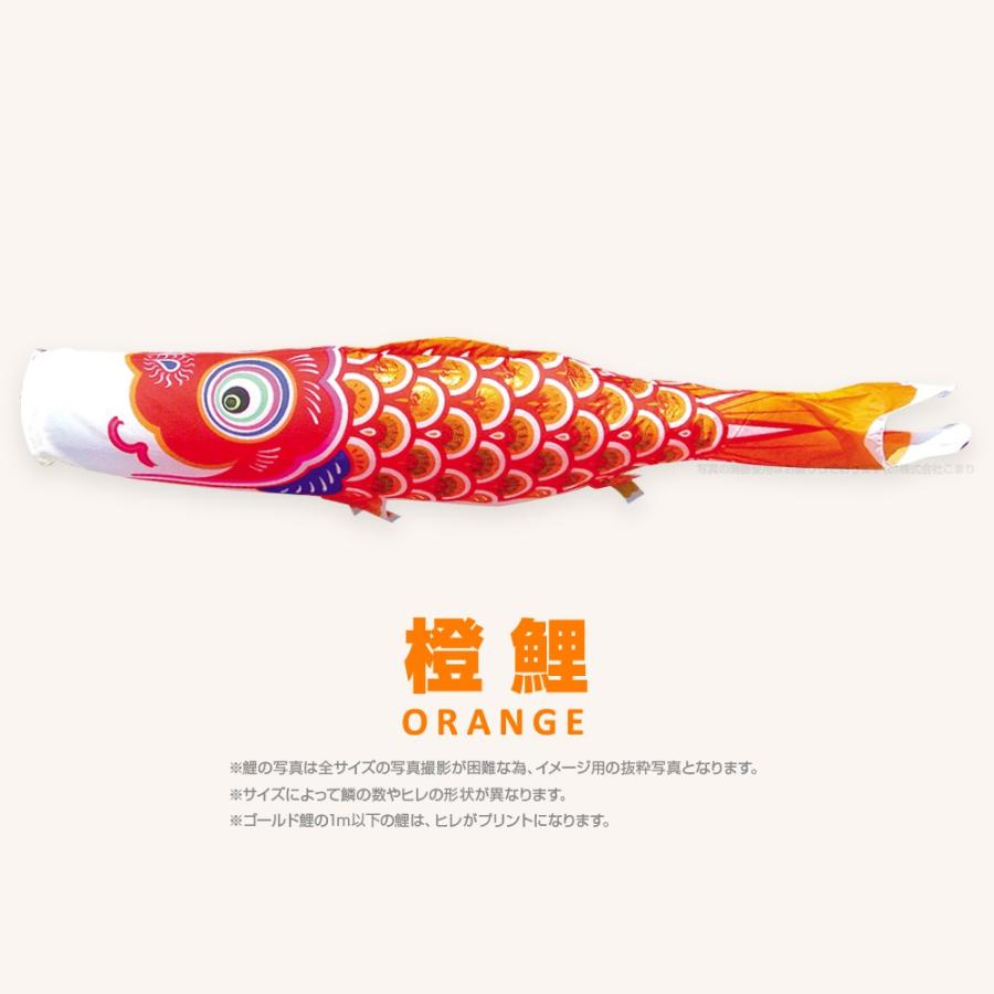こいのぼり 単品 ゴールド鯉 5m 単品鯉 黒 赤 青 緑 橙 : 節句&ギフト