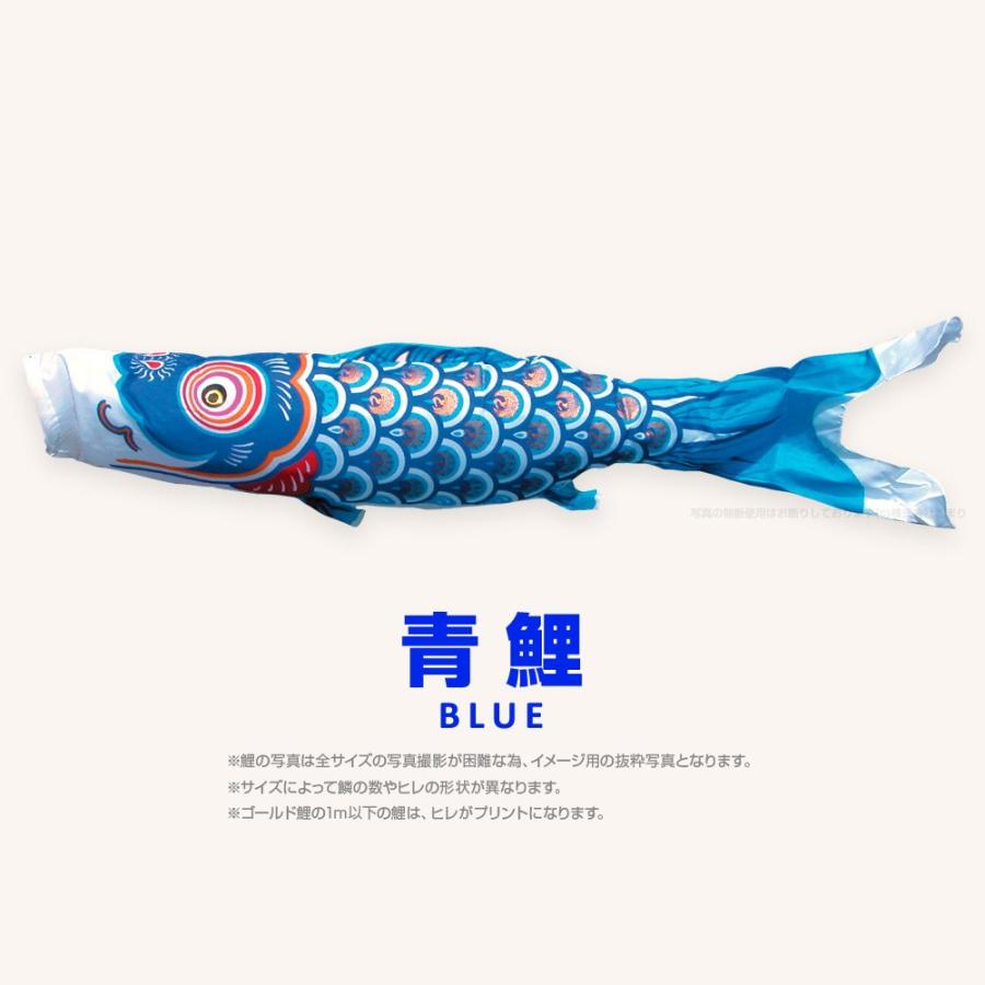 こいのぼり 単品 ゴールド鯉 5m 単品鯉 黒 赤 青 緑 橙 : 節句&ギフト