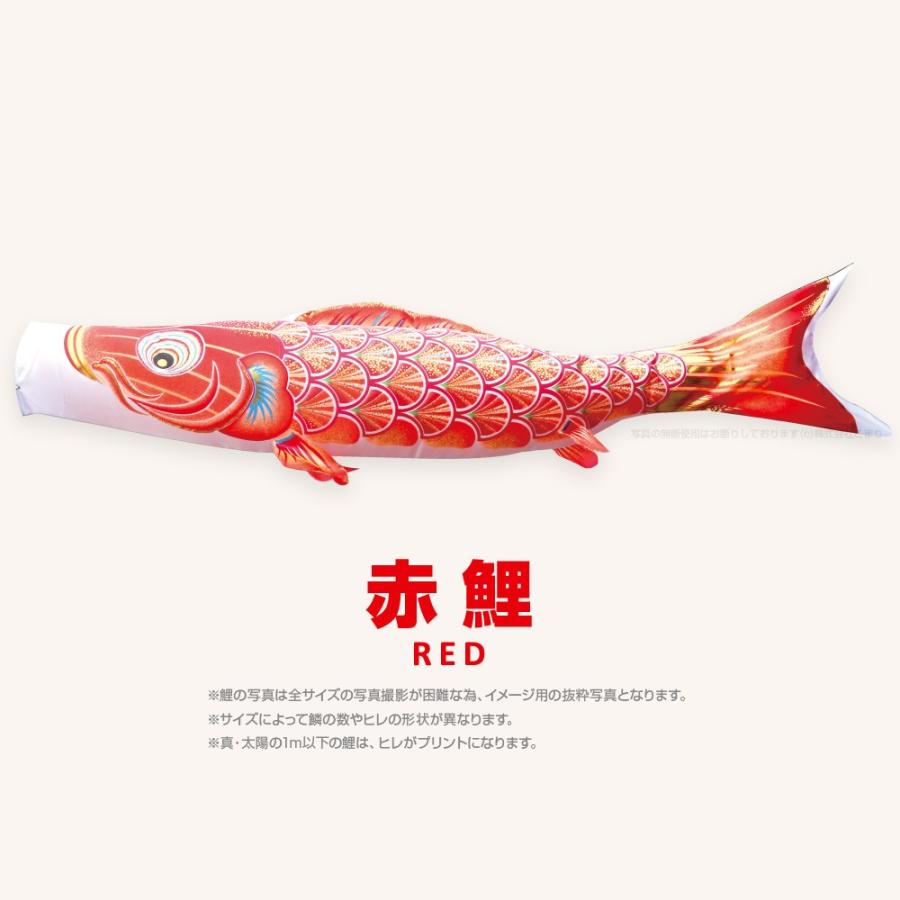 こいのぼり 単品 太陽鯉 6m 単品鯉 黒 赤 青 : 節句&ギフト専門店 ぷり
