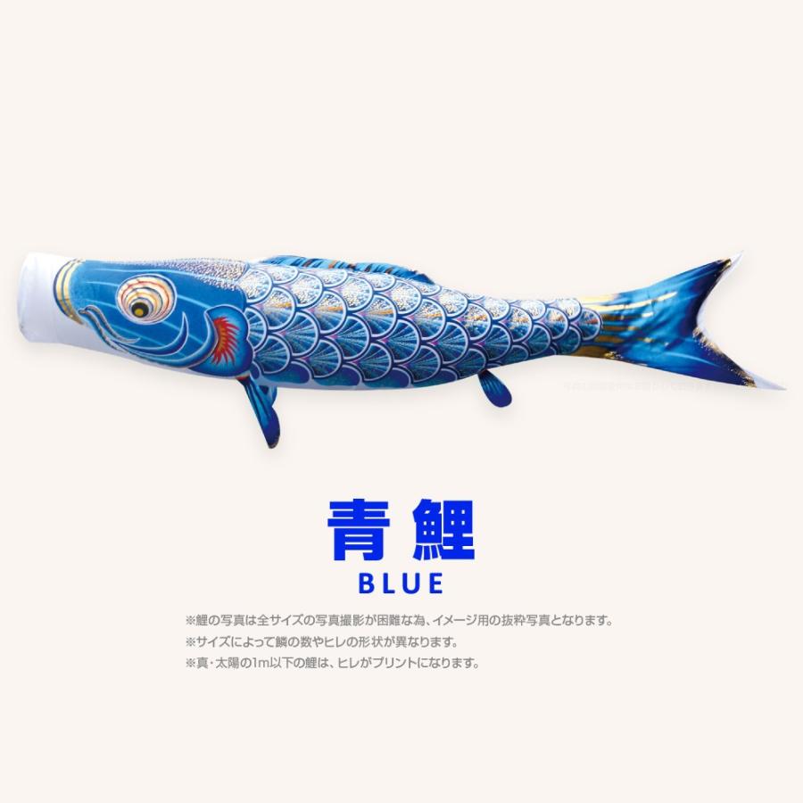 こいのぼり 単品 太陽鯉 6m 単品鯉 黒 赤 青 : 節句&ギフト専門店 ぷり
