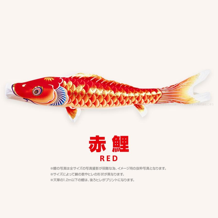 こいのぼり 単品 天華鯉 1.5m 単品鯉 : 節句&ギフト専門店 ぷりふあ